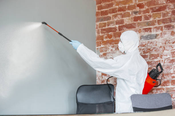 Best Indoor Air Quality Assessment  in Palmer, TX