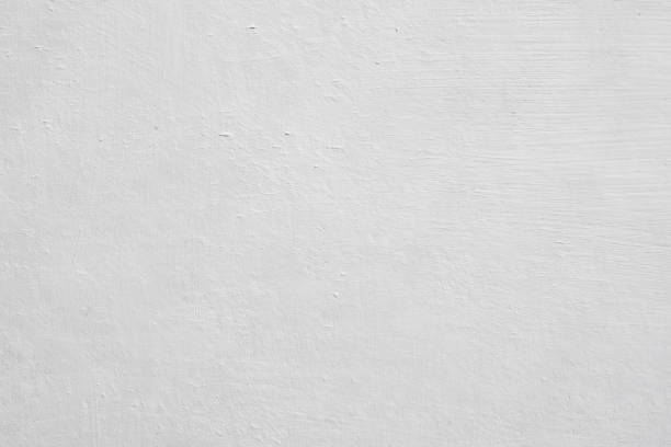 Best Mold Removal for HVAC Installations  in Palmer, TX