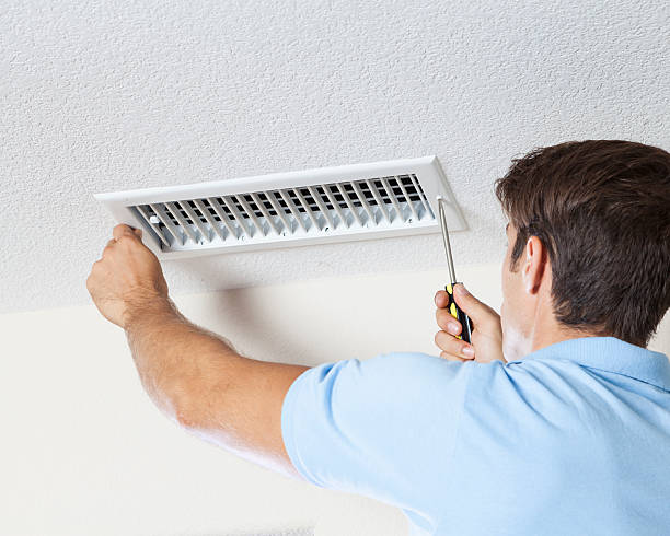 Best Basement Mold Removal  in Palmer, TX
