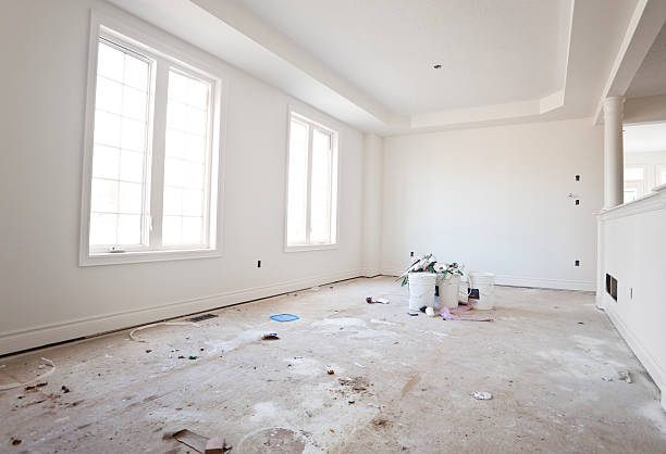 Best Mold Damage Restoration  in Palmer, TX