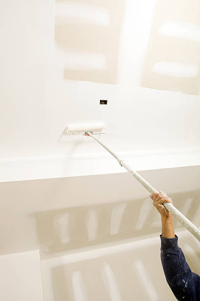 Best Industrial Mold Remediation  in Palmer, TX