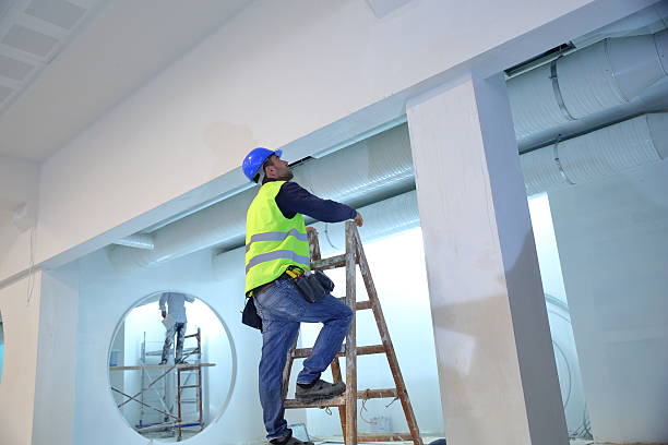 Best HVAC Mold Inspection and Cleaning  in Palmer, TX